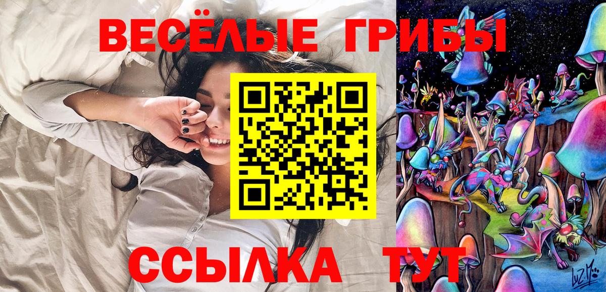 Псилоцибиновые грибы GOLDEN TEACHER Протвино